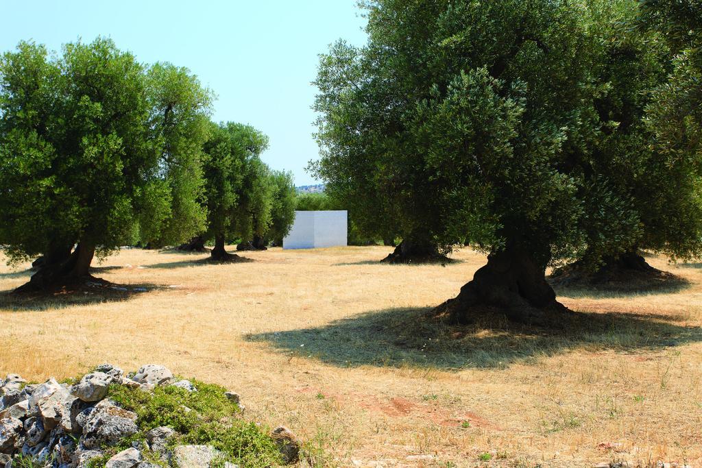 Bed Biancaneve Centro Storico Ostuni Cameră foto